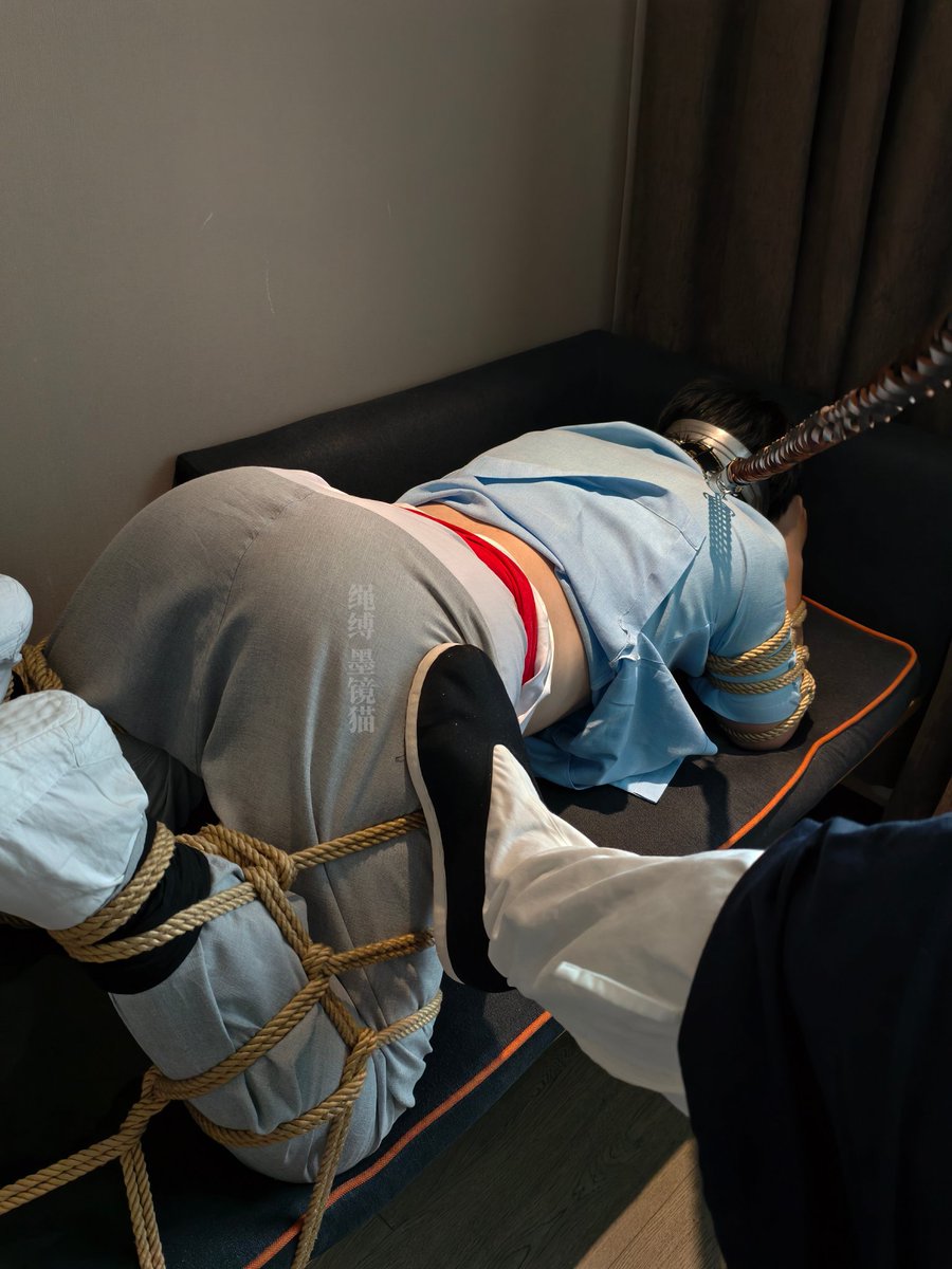 墨镜猫😼 tweet media