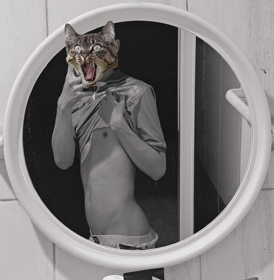 เรียนเสร็จแล้วค้าบบ อ้อนๆ🐈‍⬛  #มมส