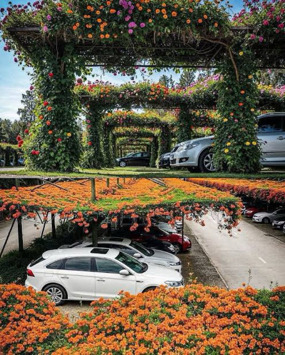 Japan and China are converting car parks into floating gardens