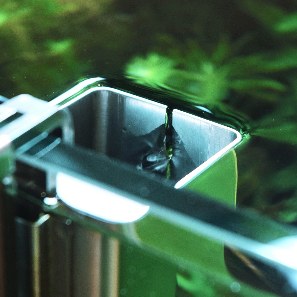 ada_lab_umeda's tweet image. ADA NATURE AQUARIUM PRODUCTS
: VUPPA-II

油分や有機物、ホコリを取り除くことで水面を常にクリアに保つだけでなく、油膜を除去することにより、水面からの酸素供給量も増え、水槽内のバクテリアの増殖を助けることで水槽内の生態系の維持にも良い効果が期待できます。

#adalab #adalabumeda #ada