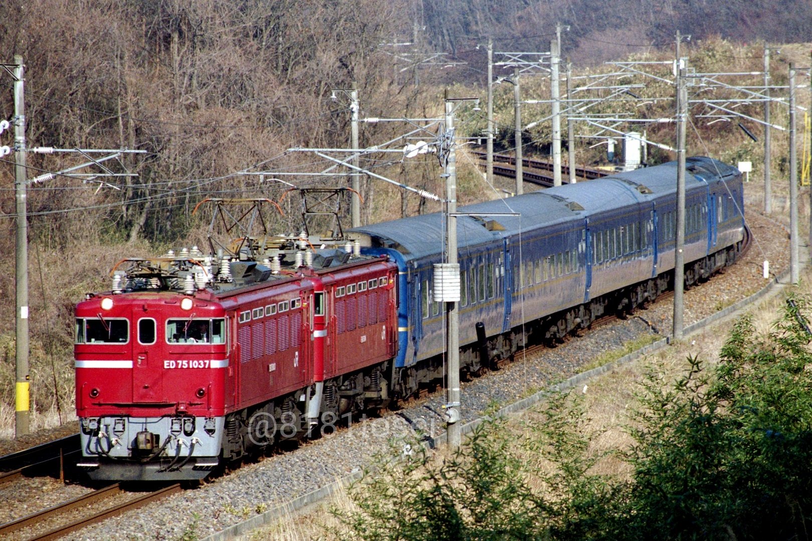 とても古いオリジナルプリントです。避暑地で撮られたもの とても古いオリジナルプリントです。避暑地で撮られたもの Retro