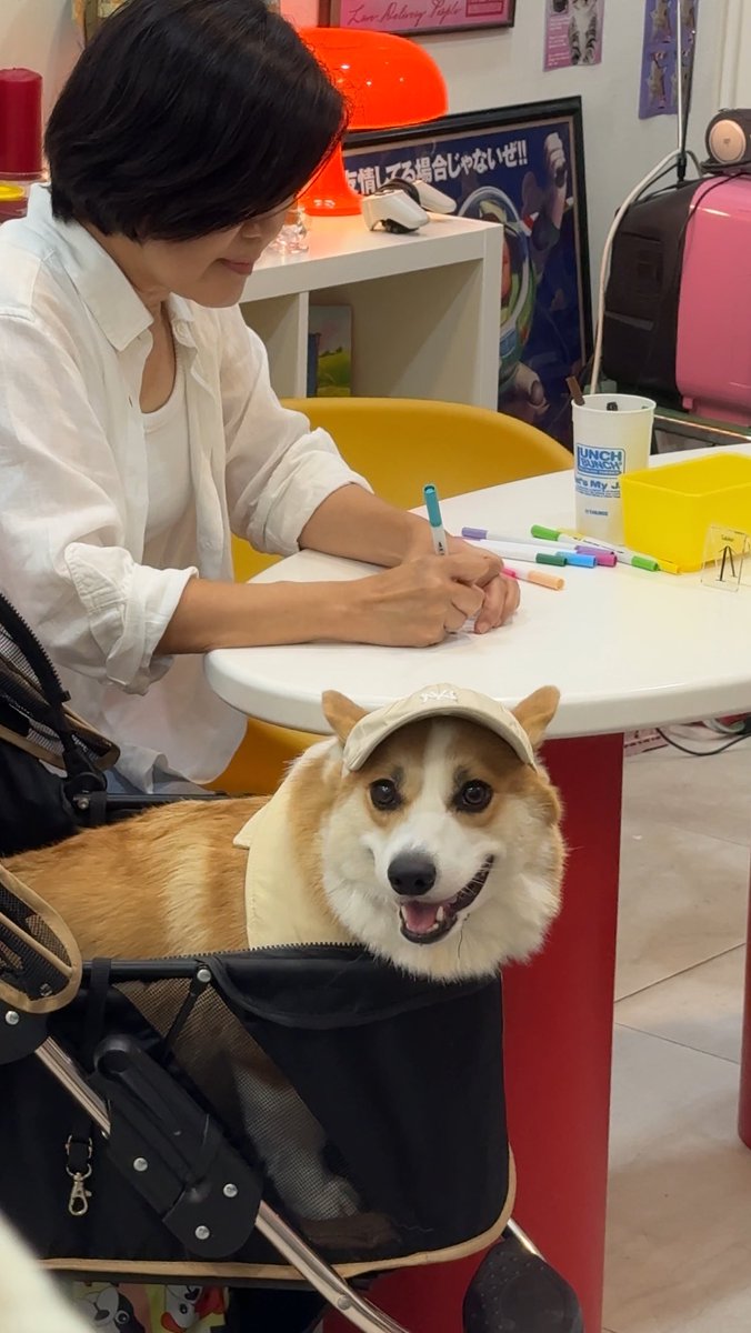 k40769's tweet image. จั๊นได้เจอดาราแย้ว 🤏🏻🐶💗
#2609PlayroomPassword
#THAIchayanon 
#HappyTHAIchayanonDay