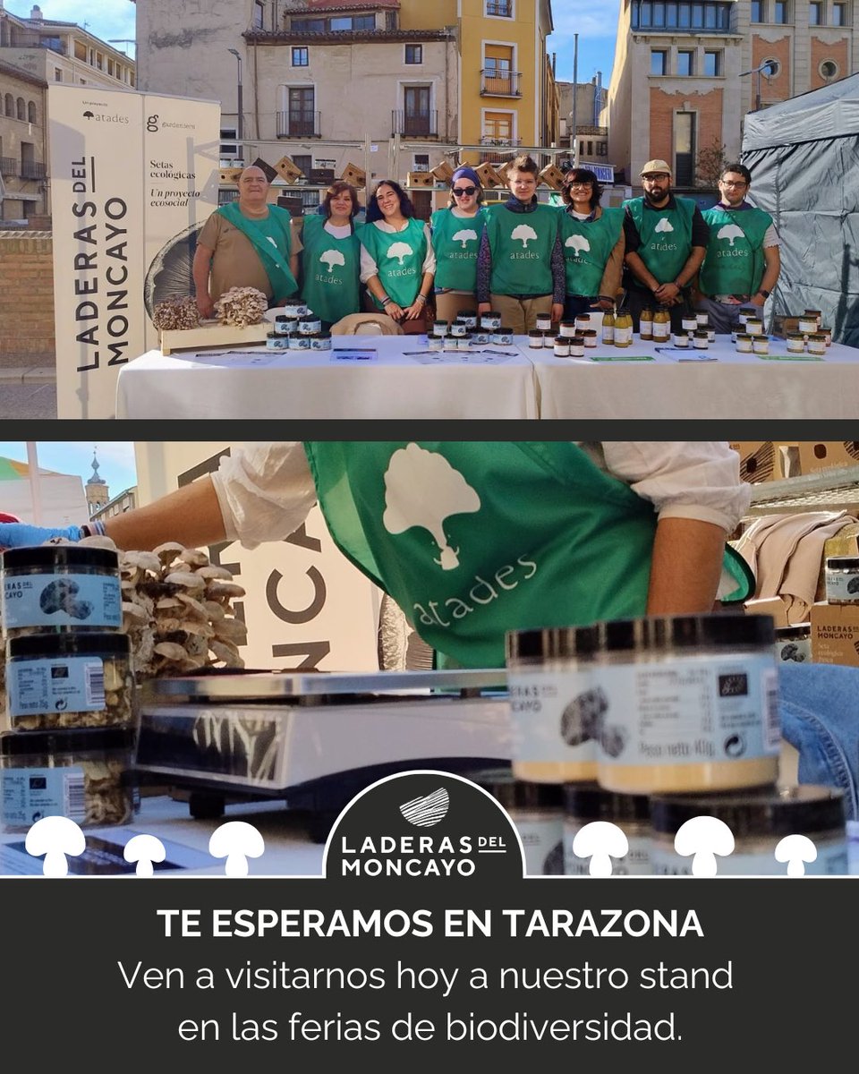 🖤 Qué ganas teníamos de que empezaran la XIV Feria Aragonesa de la Biodiversidad Agrícola junto con la XXVI Feria Estatal de la Biodiversidad Cultivada en Tarazona organizado por <a href="/SemillasAragon/">Red de Semillas de Aragón</a> en colaboración con <a href="/AytoTarazona/">Ayuntamiento de Tarazona</a> y <a href="/TarazonaMoncayo/">Comarca de Tarazona</a>.