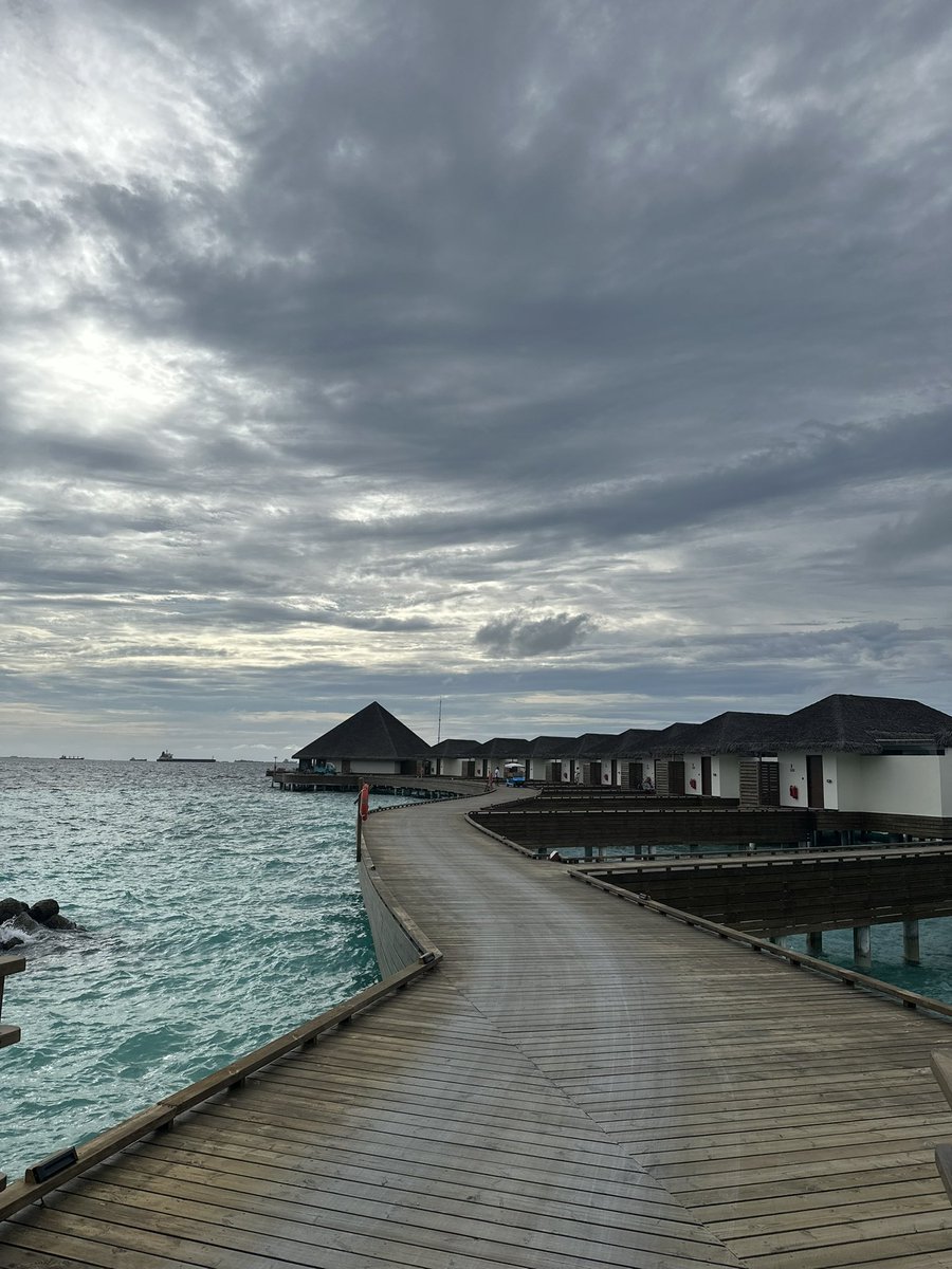 Hamvdv's tweet image. 