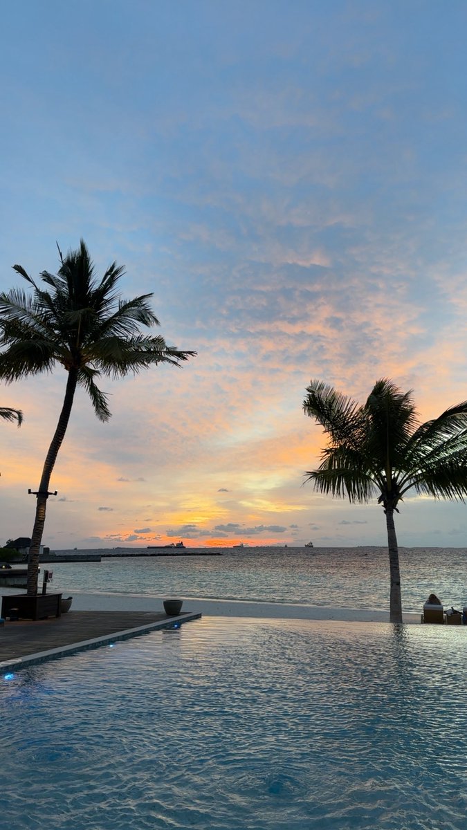 Hamvdv's tweet image. 