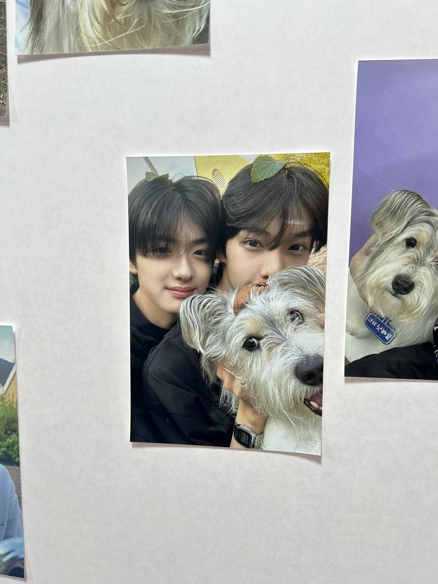 We keep this love in a photograph
We made these memories for ourselves <a href="/mightyxliyu/">Gem</a> T T