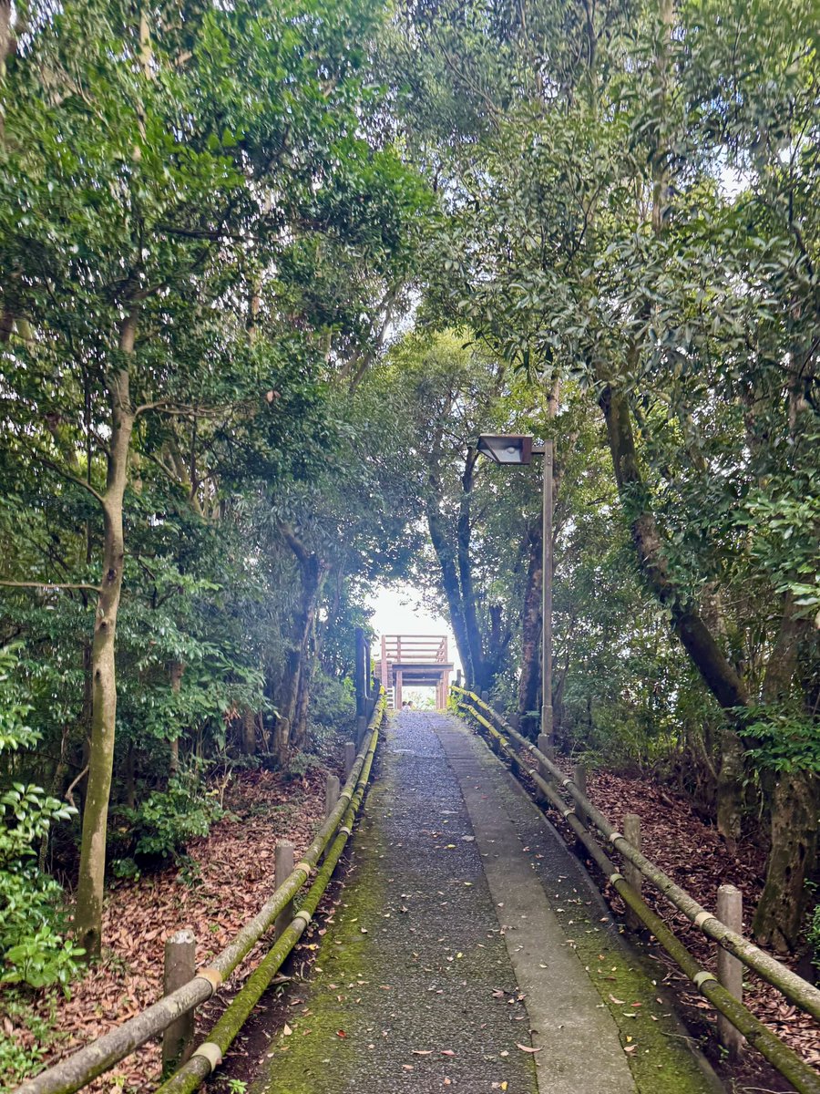 鹿児島の寺山公園からは鹿児島湾が一望出来、日本の美しさに圧巻されます、