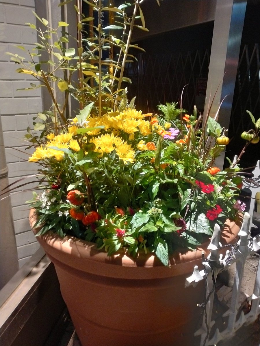 あなたの家にあなたはいない。あなた以外の人もいない。