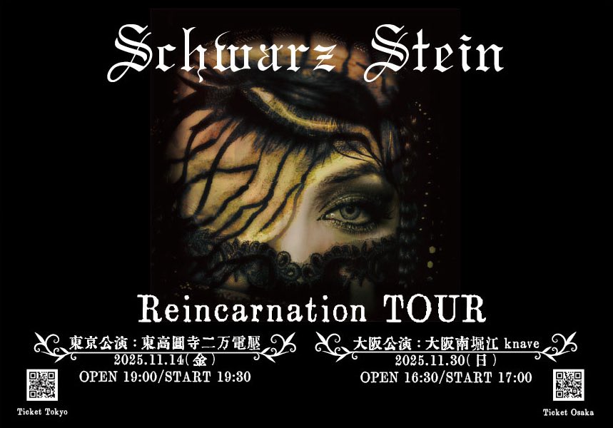 Schwarz Stein DEMIGOD 会場特典 Remix CD付き Schwarz Stein on X: 
