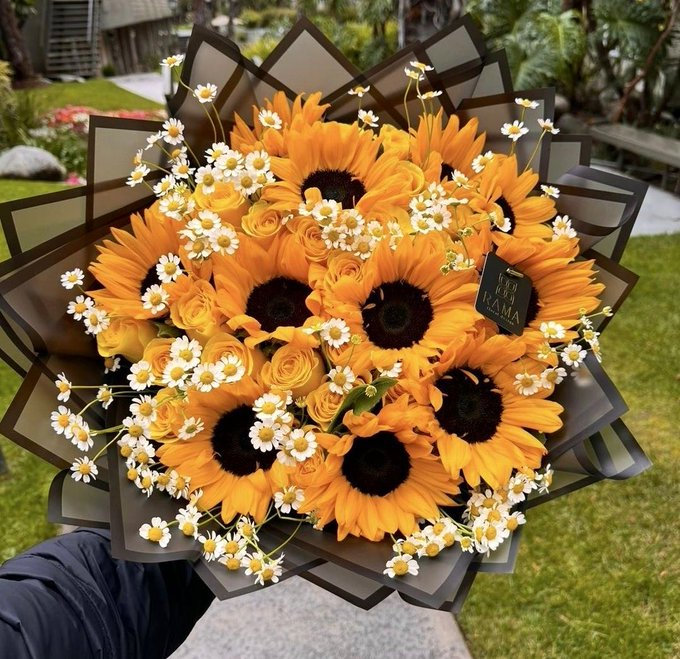 SUNFLOWER 🌻 tweet media