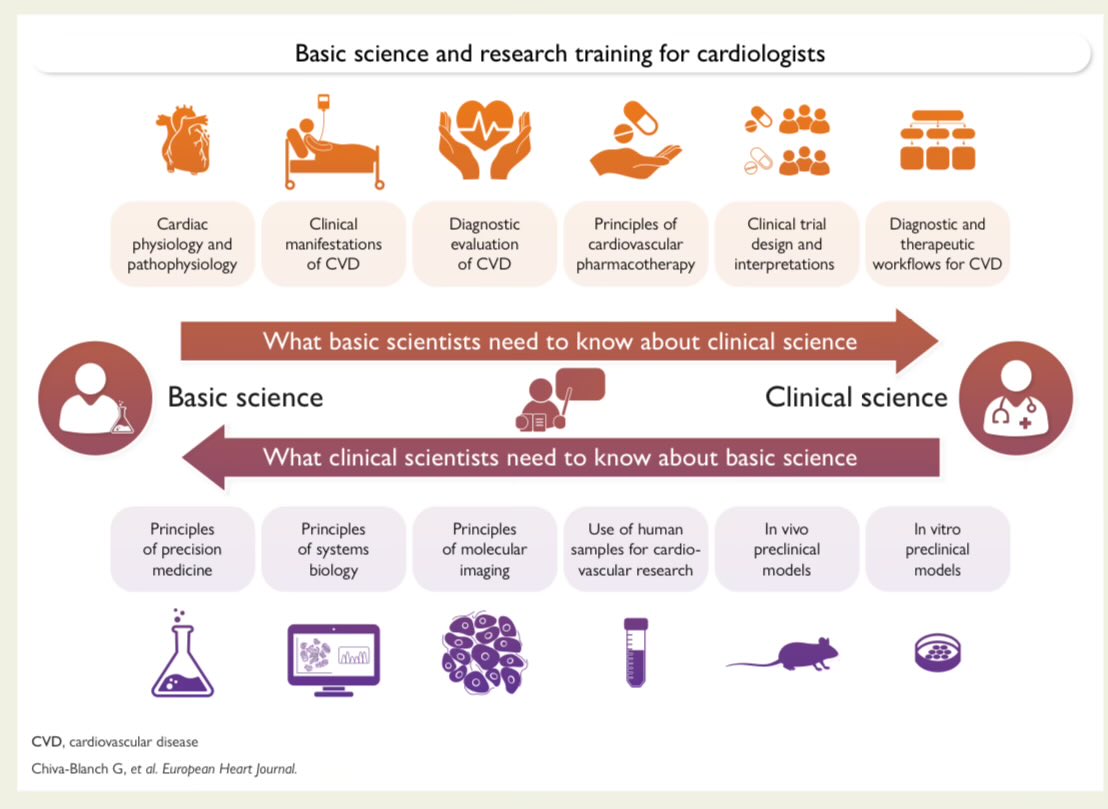 SeguraCardio's tweet image. 📌Importance of #BasicScience &amp;amp; research training for the future generation of #cardiologists

A statement of the @escardio 
#PositionPaper #research #TranslationalScience