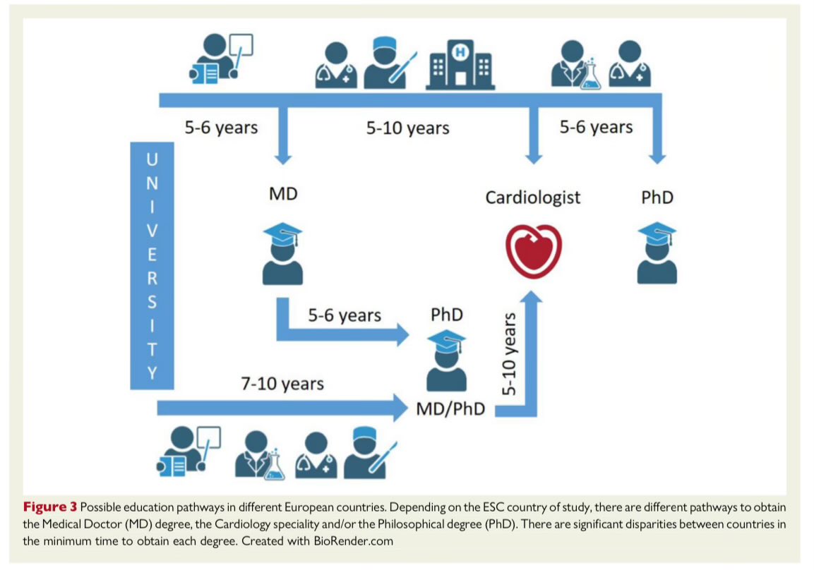 SeguraCardio's tweet image. 📌Importance of #BasicScience &amp;amp; research training for the future generation of #cardiologists

A statement of the @escardio 
#PositionPaper #research #TranslationalScience