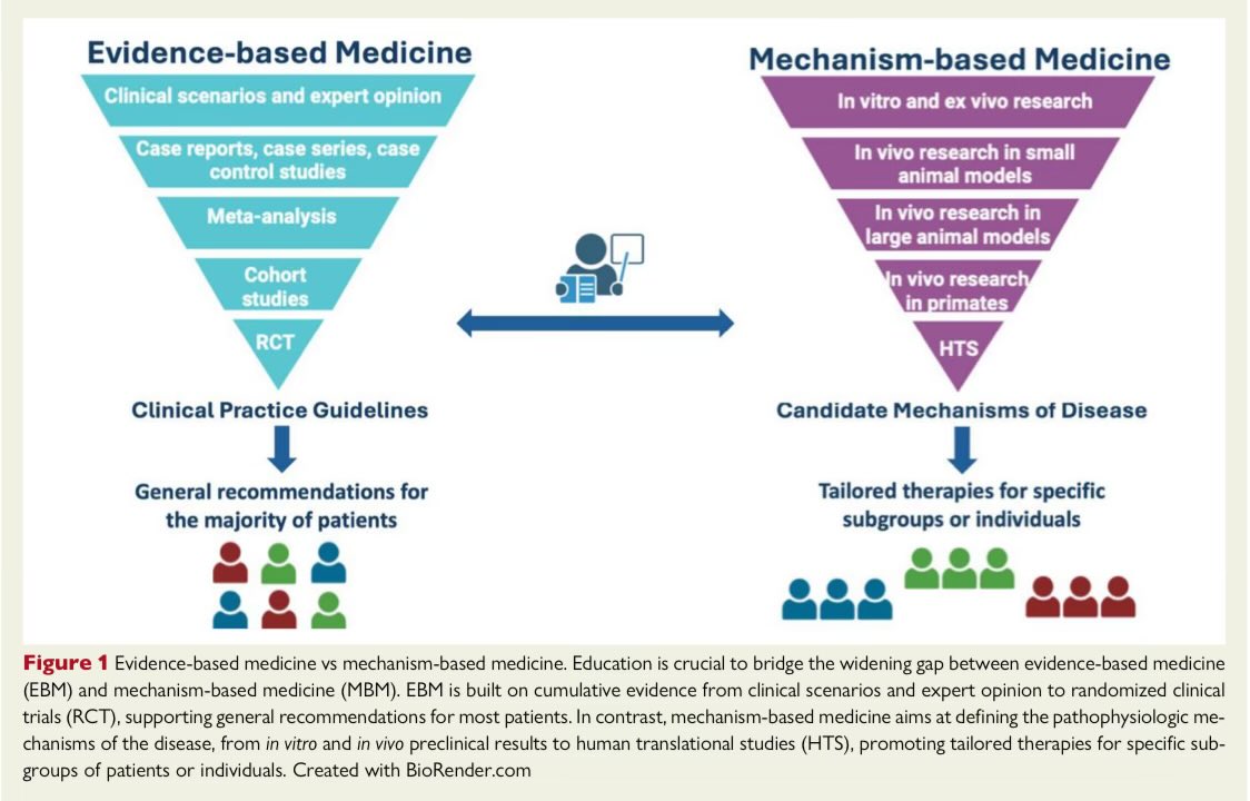 SeguraCardio's tweet image. 📌Importance of #BasicScience &amp;amp; research training for the future generation of #cardiologists

A statement of the @escardio 
#PositionPaper #research #TranslationalScience