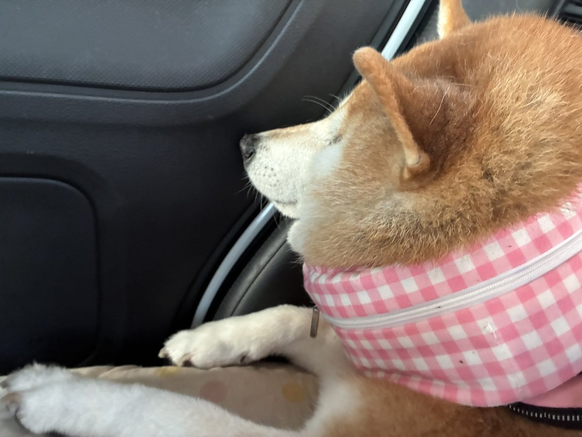 あきちゃん - Search / X