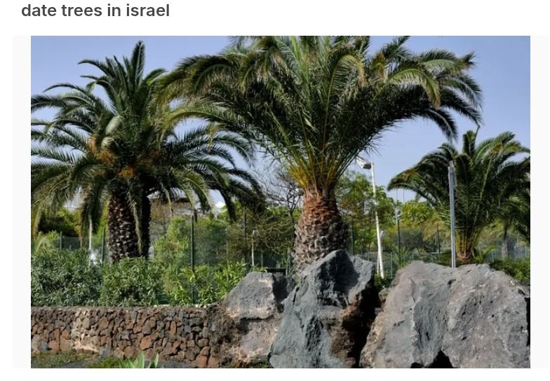 Nephi says they planted all kinds of Mediterranean seeds in the Promised Land. They'd ve brought delicious figs, grapes, dates, olives, &amp; you’d expect to hear about em later. But BoM only mentions grains &amp; "fruit".

That silence screams cooler climates, e.g. W NY, not Meso/So Am