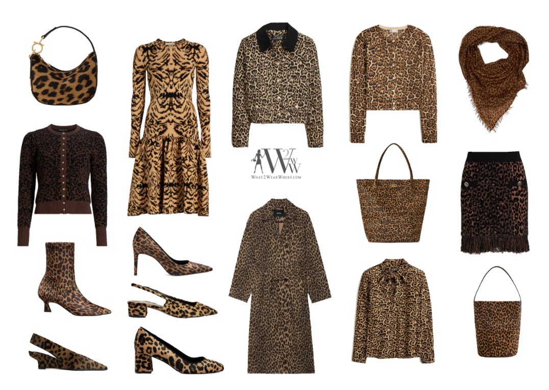 Jacket Jackpot: Fall's Best Leather Picks - mailchi.mp/what2wearwhere…