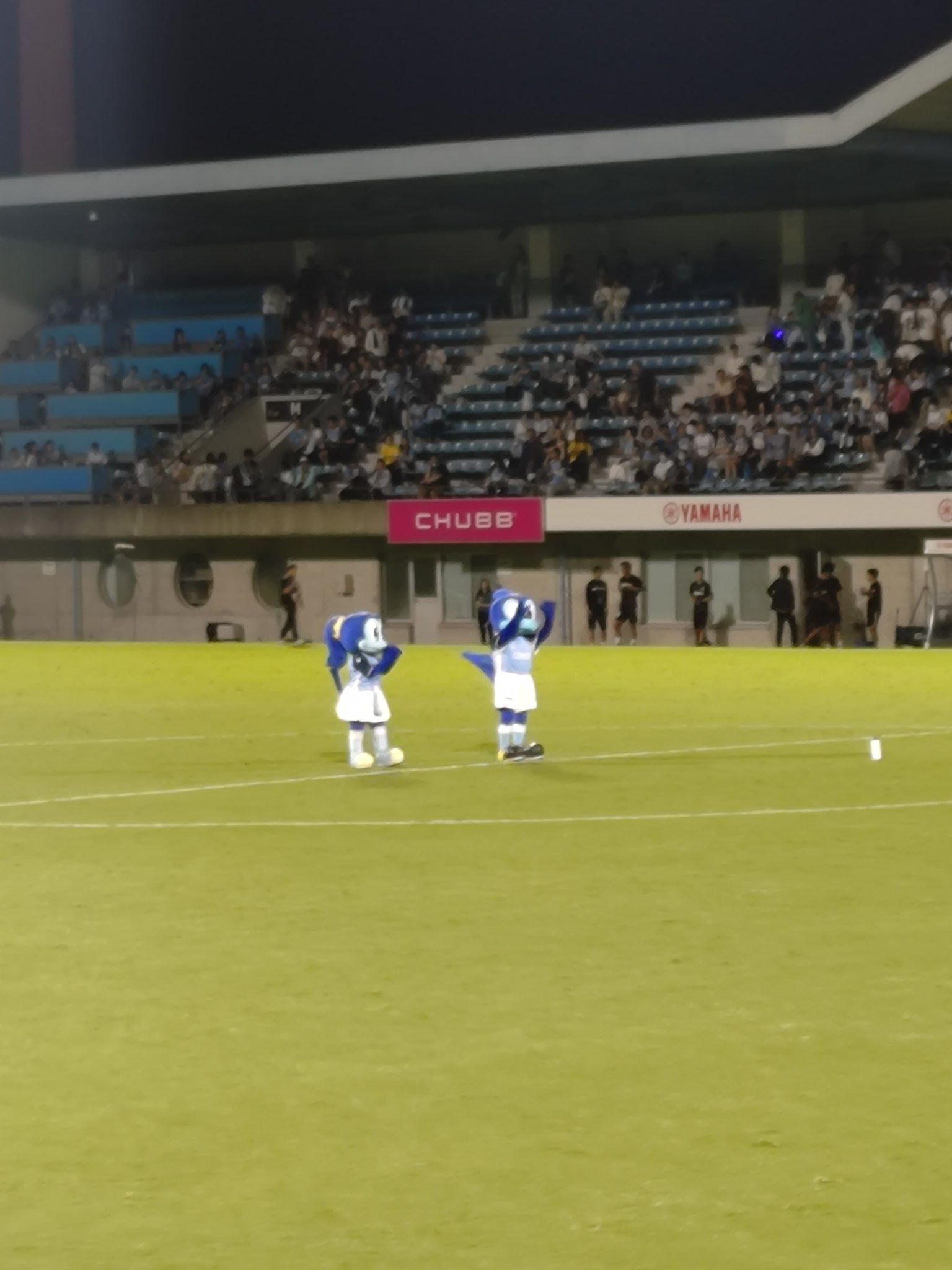 りんねページです りんね🐿ﾞ🐂 on X: 