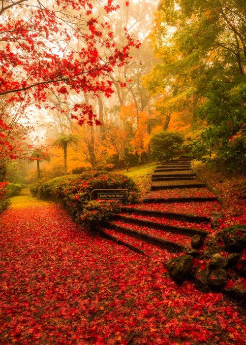 °○✿˖｡Hᥲ᥎ᥱ ᥲ Blᥱ᥉᥉ᥱd Sᥲtᥙrdᥲᥡ 🍁🍂🍁