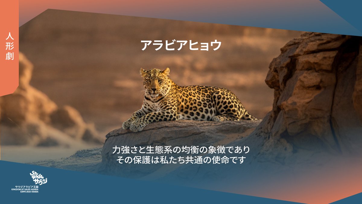 大阪 関西 万博 サウジアラビア ヒョウのニムル ぬいぐるみ 新品 タグ