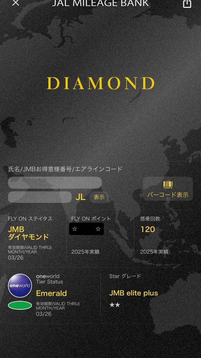 JAL JMBダイヤモンド バゲージタッグ 2025 JAL JMBダイヤモンド