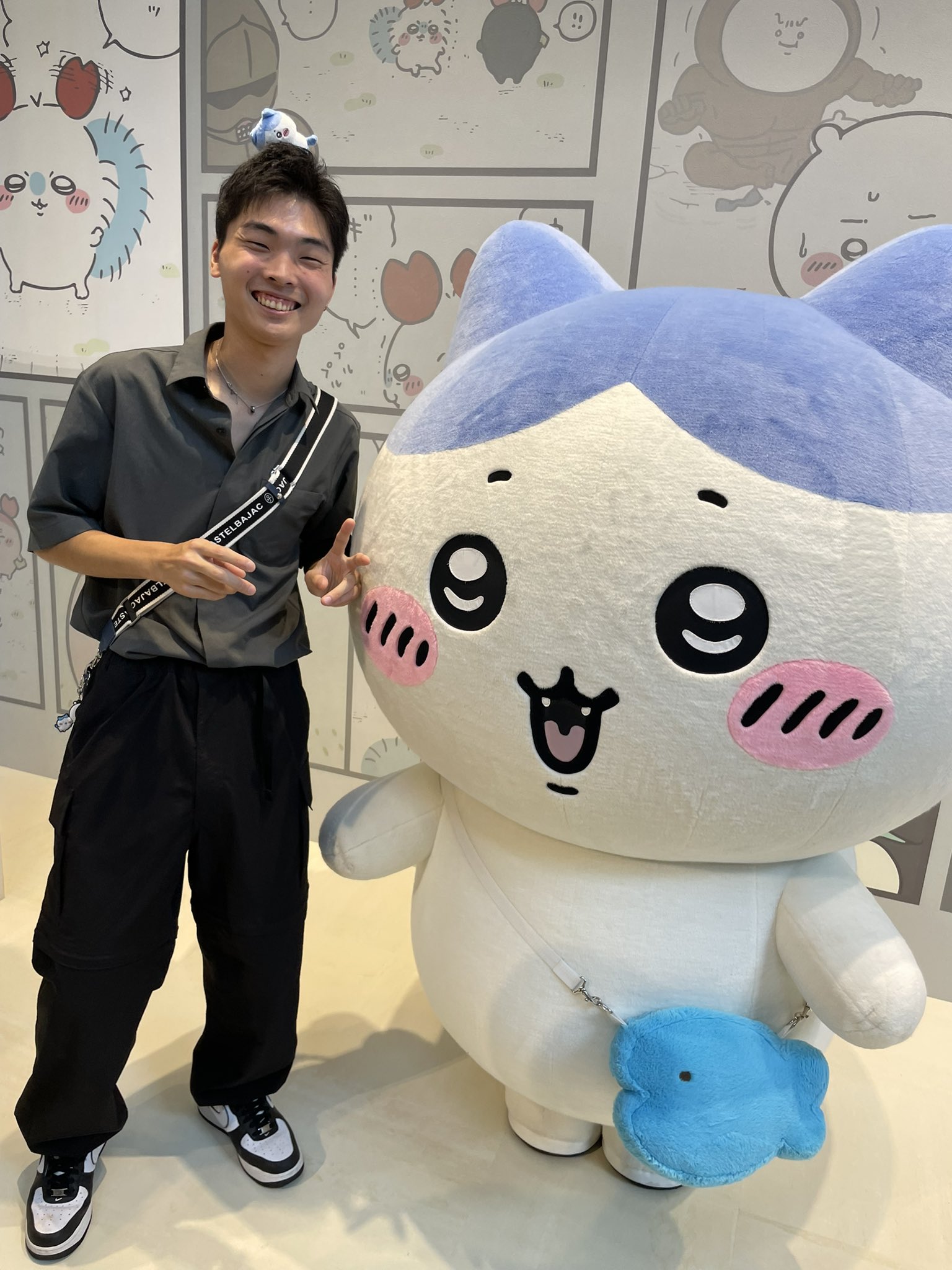 ハチワレ - Search / X