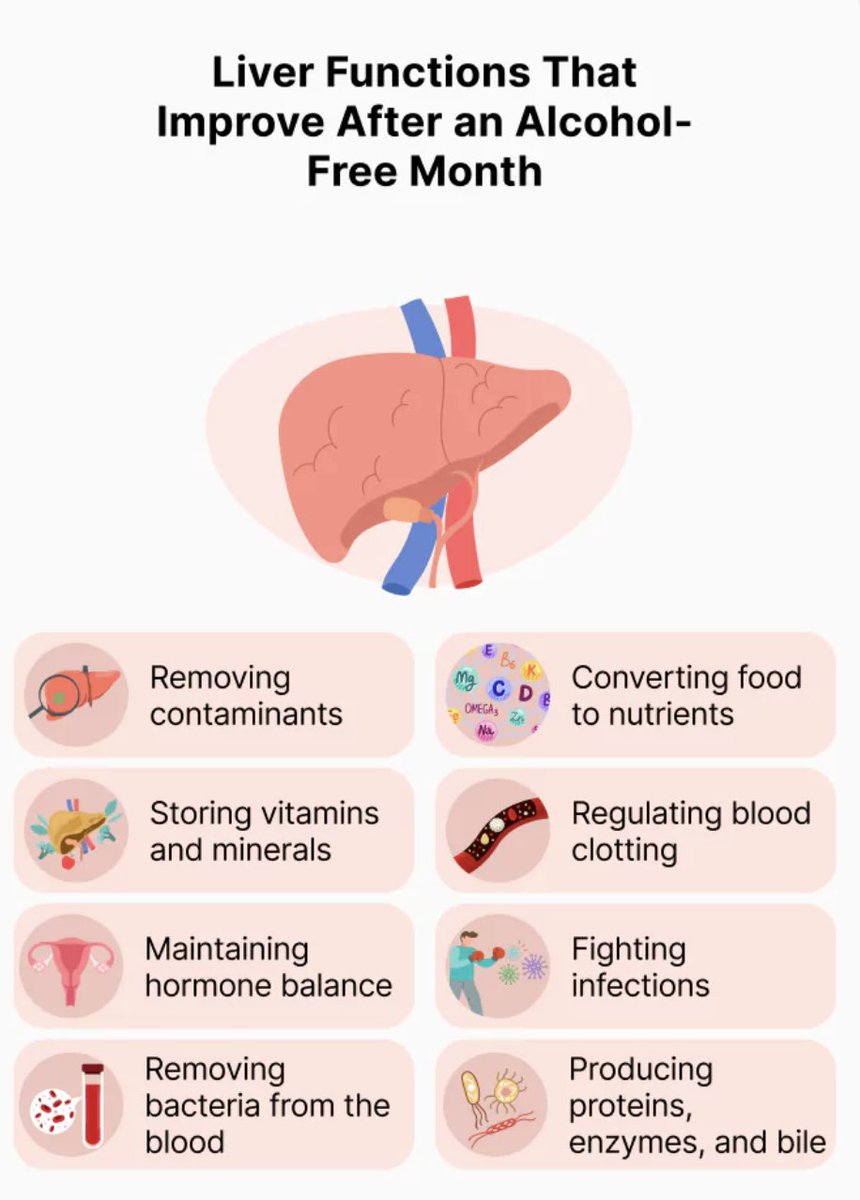 sobercoinpf's tweet photo. Your Liver is the most complex organ in the body with over 500 vital functions !! Just after 30 days $SOBER this infographic lays out how it improves from not drinking alcohol aka POISON ! https://t.co/JXtiG7ocnj