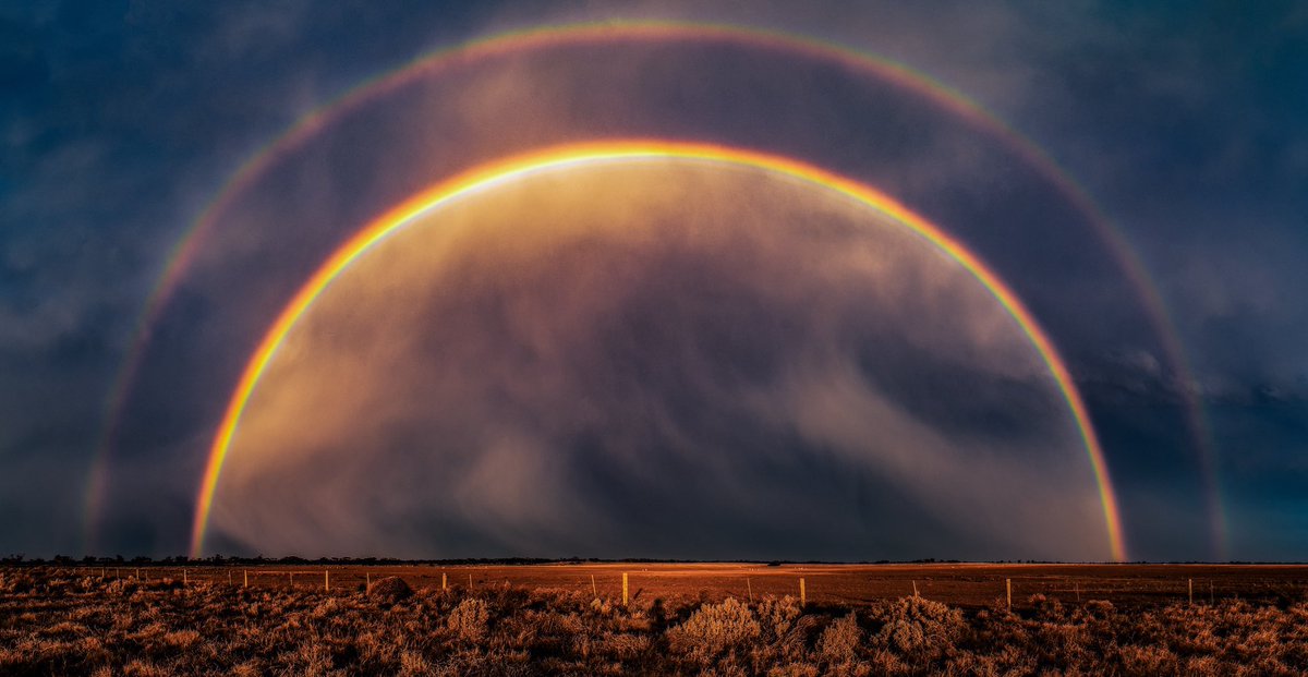 GM ❤️‍🔥

Artists we love creating art we love.

A thread 🧵 

Nature is Healing - <a href="/vastdepth/">Steve K</a>