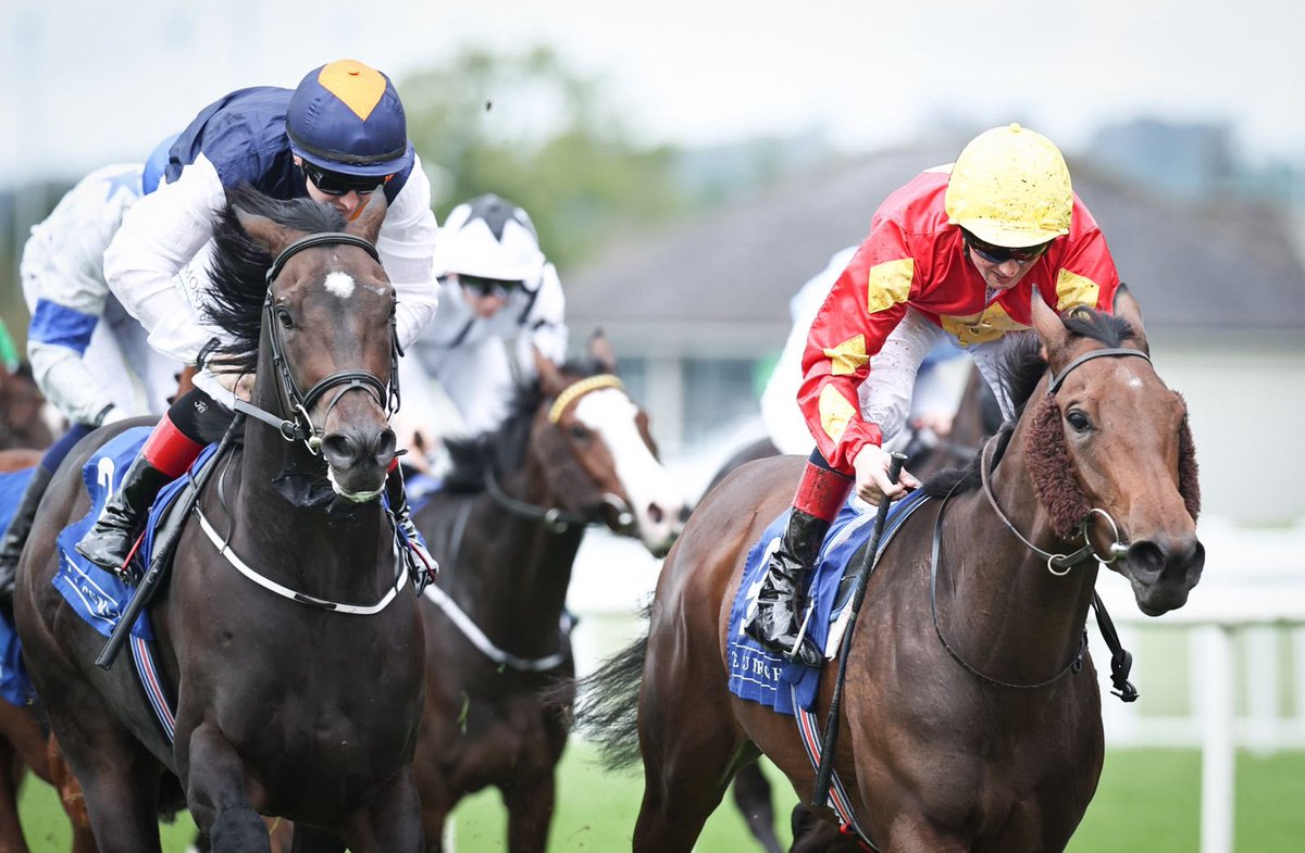 curraghrace's tweet photo. ⚡ A sharp performance from Gazelle D’or, landing the HearMed Your Hearing Joe McGrath Handicap for trainer Michael Grassick and jockey @chrishayes24.

 Well done to all involved! ✨🙌🏼 https://t.co/mNsXVVxcPA