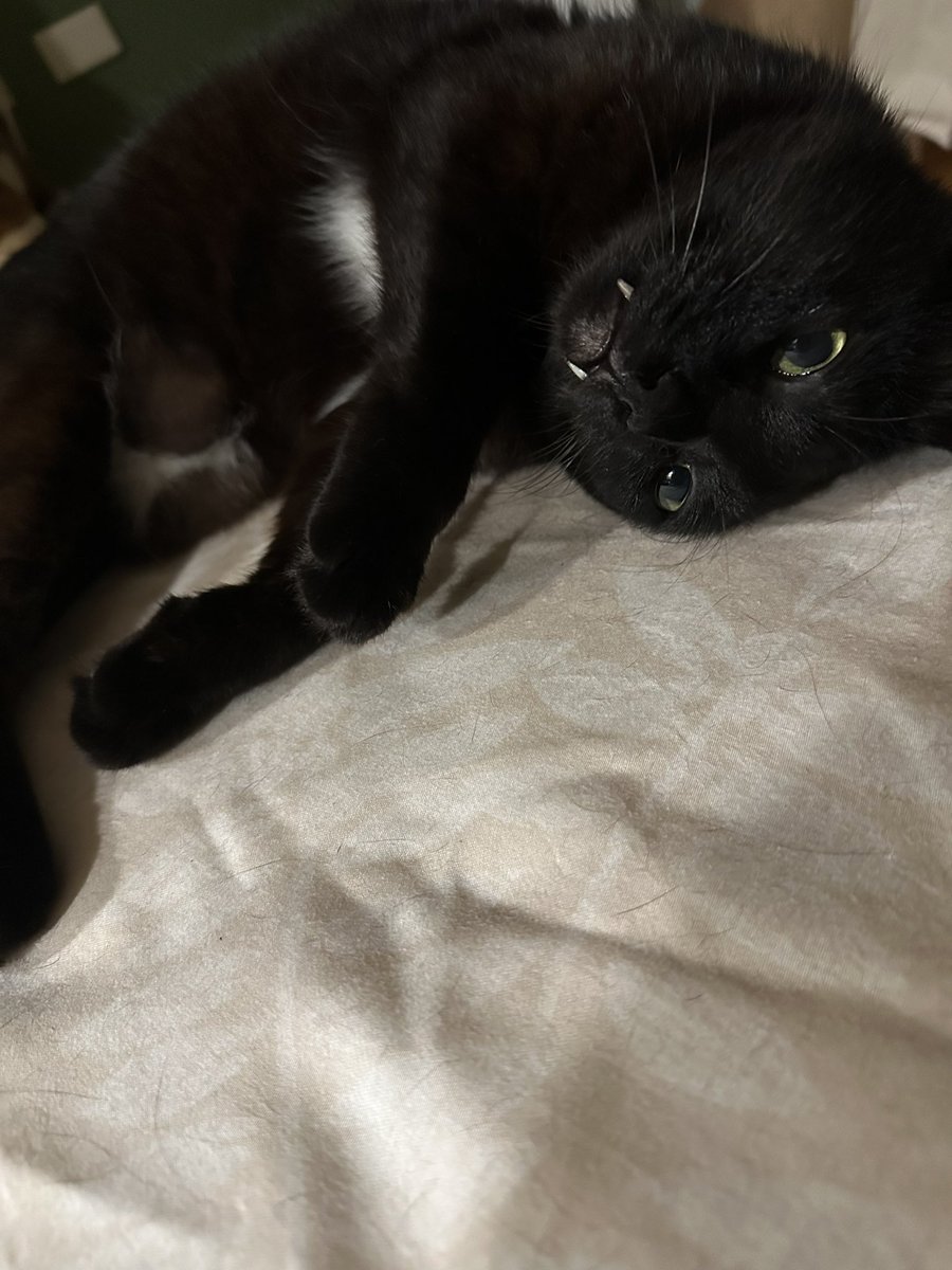 吃了罐頭都會變這樣