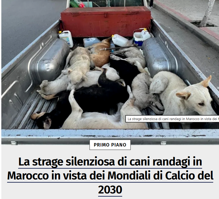 lottopython's tweet image. genere umano devi essere sterminato e terminato in modo atroce