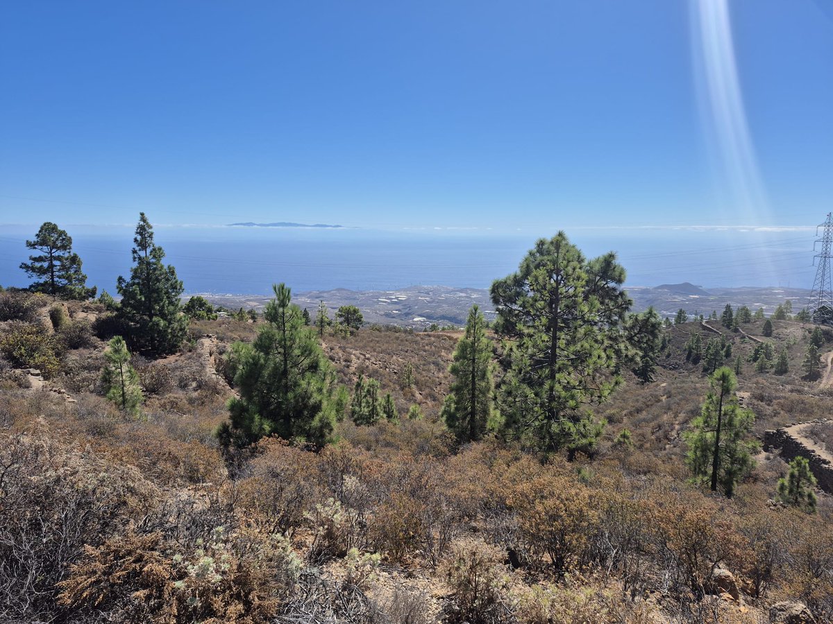 Vista desde Los Chamuscos, Arico, Tenerife, a unos 1200 metros sobre el nivel del mar. Mi bisabuelo cultivaba papas negras en esta zona en los años 30, subían caminando con un burro y hacían noche, tanto el día de la siembra como el de la recogida. Se ve la cumbre de Gran Canaria