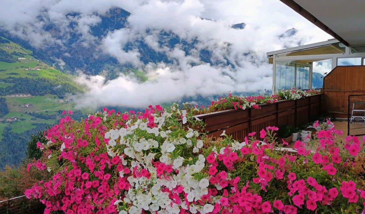 fienchen_b's tweet image. First time in @Pixicu and @FreyamiaFreya country ❤️
#Südtirol #AltoAdige #Sudtirolo