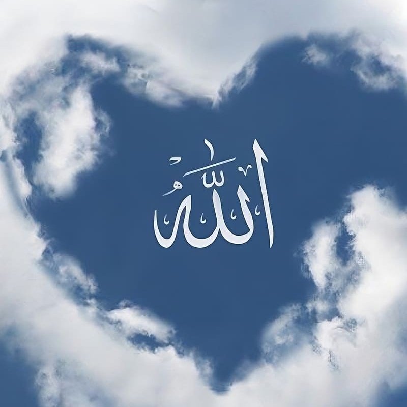 I believe in the power of Allah ☝️

from the darkest mornings to the brightest evenings,

He never fails to show His mercy 🌅

whatever the situation, Alhamdulillah ala kulli hal 🤍

trust the process. 

His plan is always greater than ours ✊️