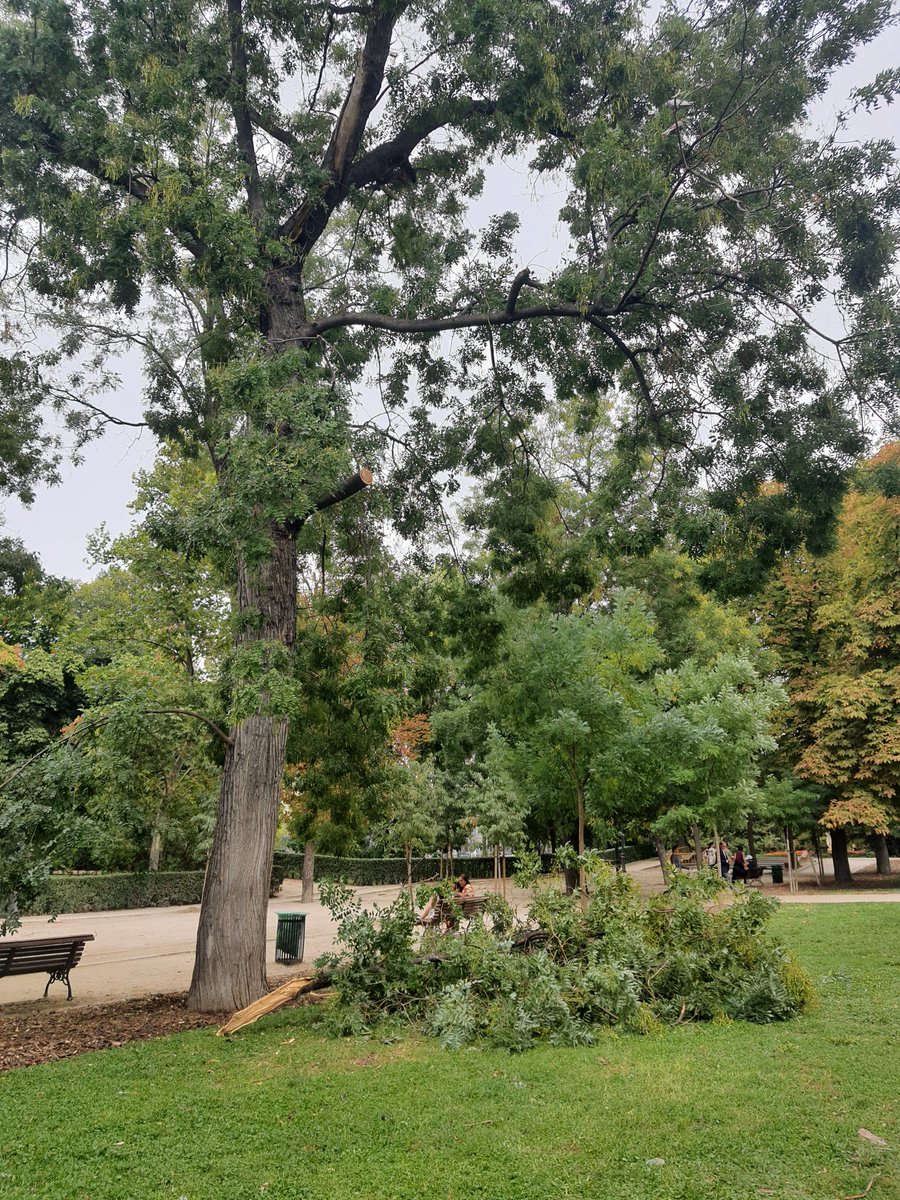 Diana PG tweet media