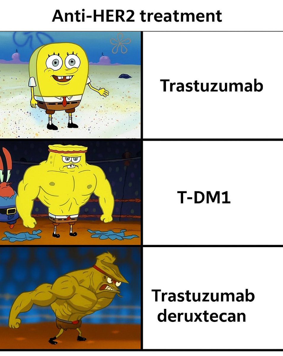 Anti-HER2 Treatments!