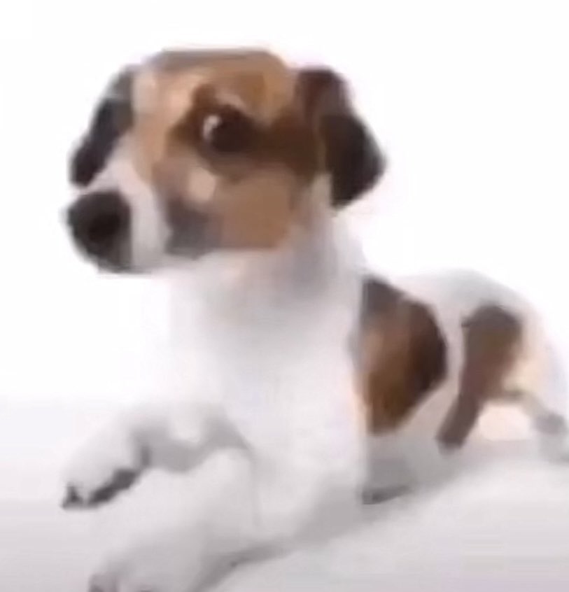 Minotaur511 tweet media