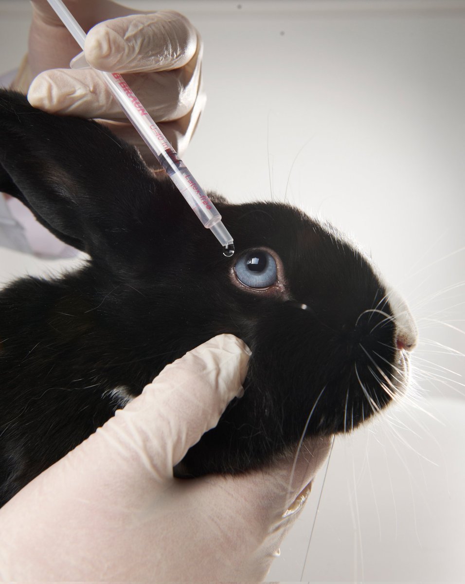 Vegan, because he is NOT a willing test subject!
❌️💉