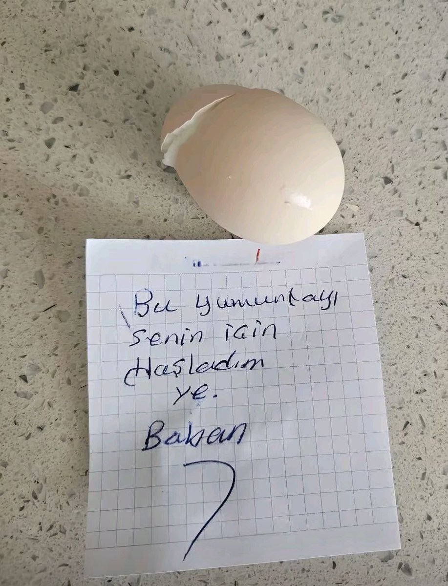 GaGa Haber tweet media