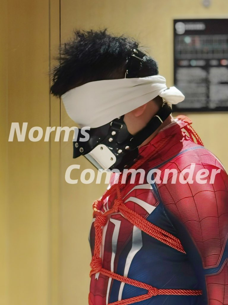 NormsCommander's tweet image. 𝙎𝙥𝙞𝙙𝙚𝙧𝙢𝙖𝙣 享受你的放纵夜晚。
@Sub_Collie