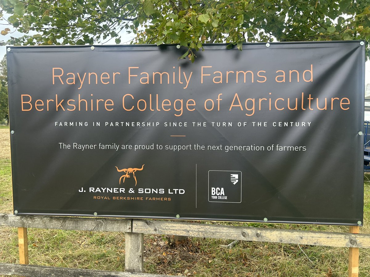 Colin Rayner tweet media