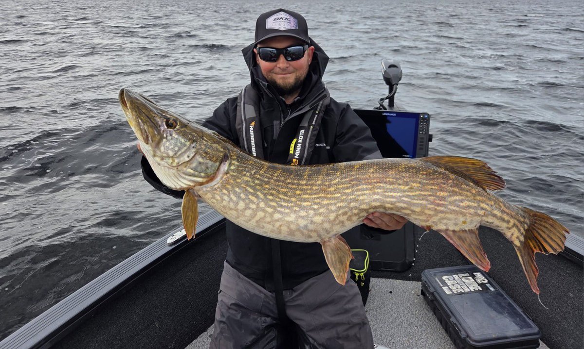 LoughreeHub's tweet photo. From 106 → 108 cm! 📈

The biggest catch has just reached 108 cm! 🐟⚡️ https://t.co/LlDgW44It0