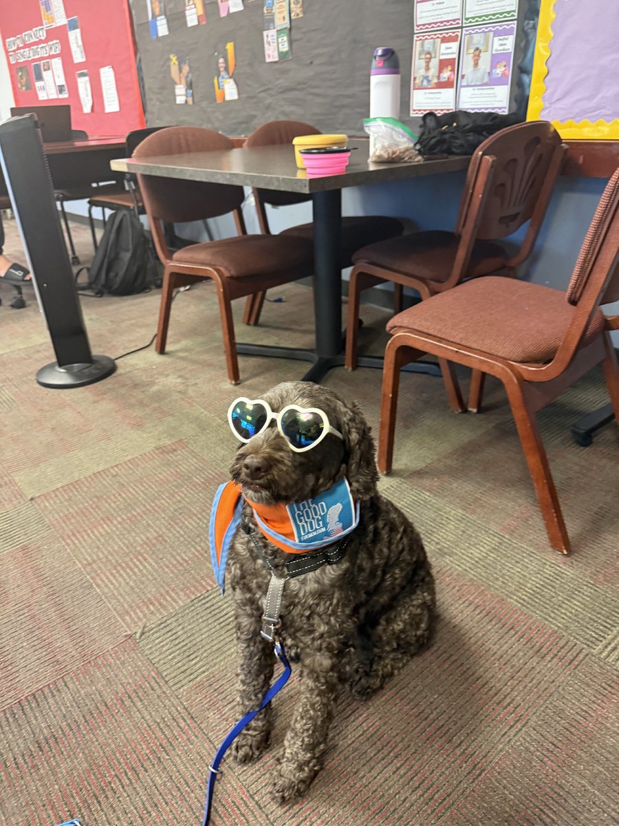 Paws what you’re doing and apply now to begin your new chapter at The Towers 🐶

(DOG NOT INCLUDED!)

#ccnytowers #ccnyreslife