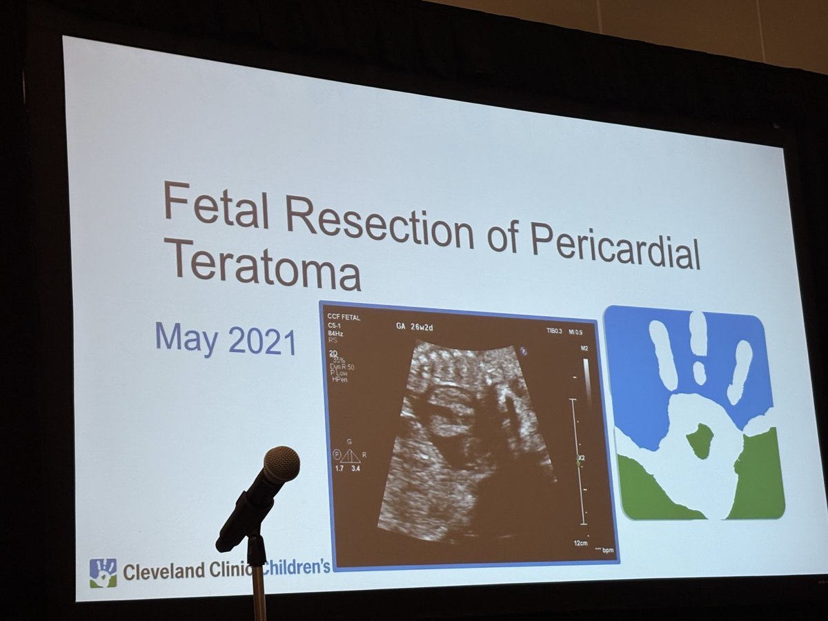 heba wassif tweet media