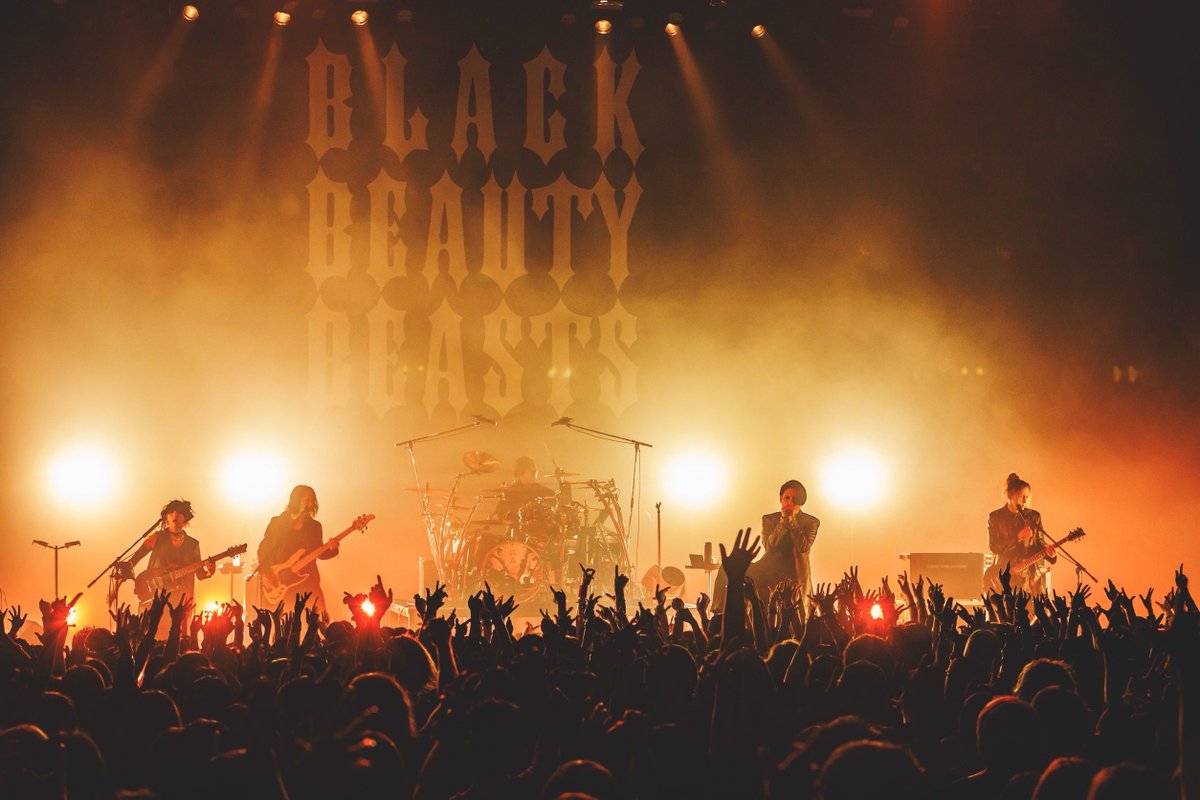 luna*様⭐︎専用ページ Luna | ライブ映像販売中 on X: 