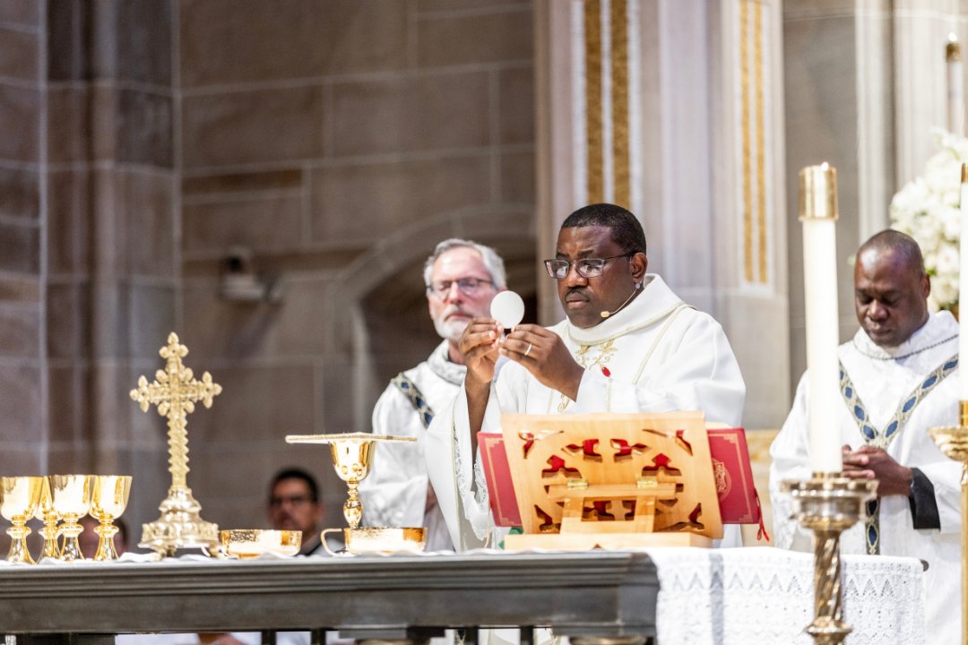 Catholic Foundation of North Georgia tweet media