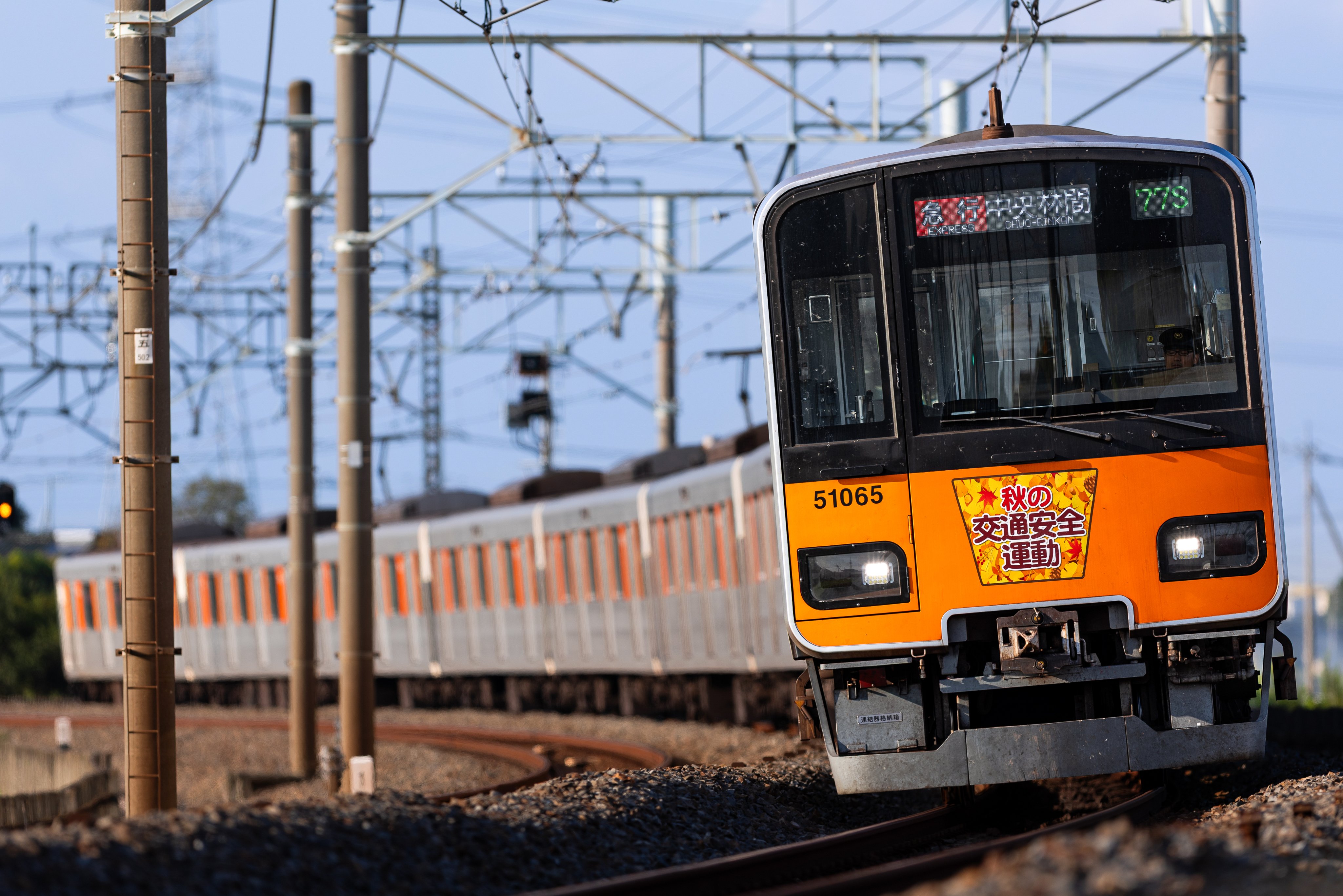 武田 61nwyHf4I-L.jpg_BO30,255,255,