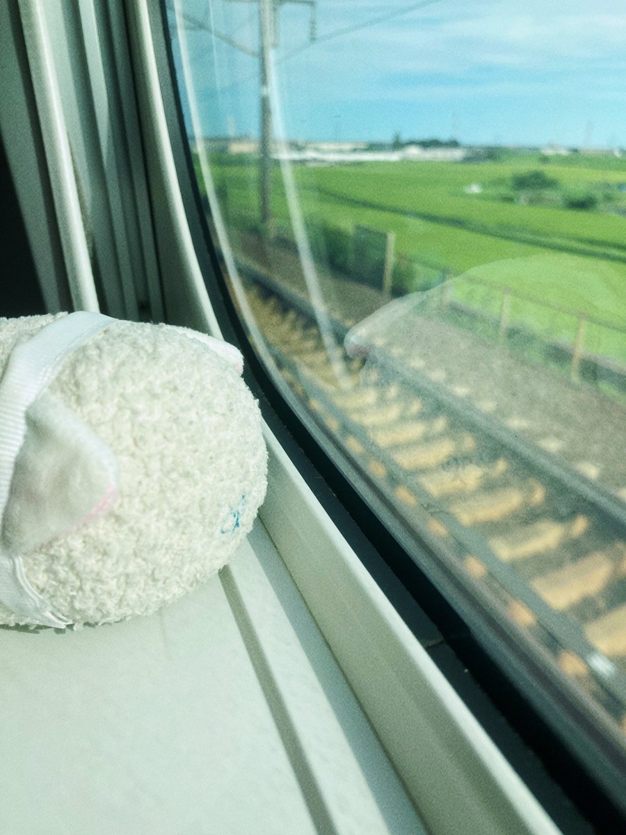 punpun_plastic's tweet photo. 万博からの京都旅でし　初ソロ旅寂しすぎてすぎて普通にﾌﾟﾐちゃん持ってっﾀ… https://t.co/kWh89aPVhg