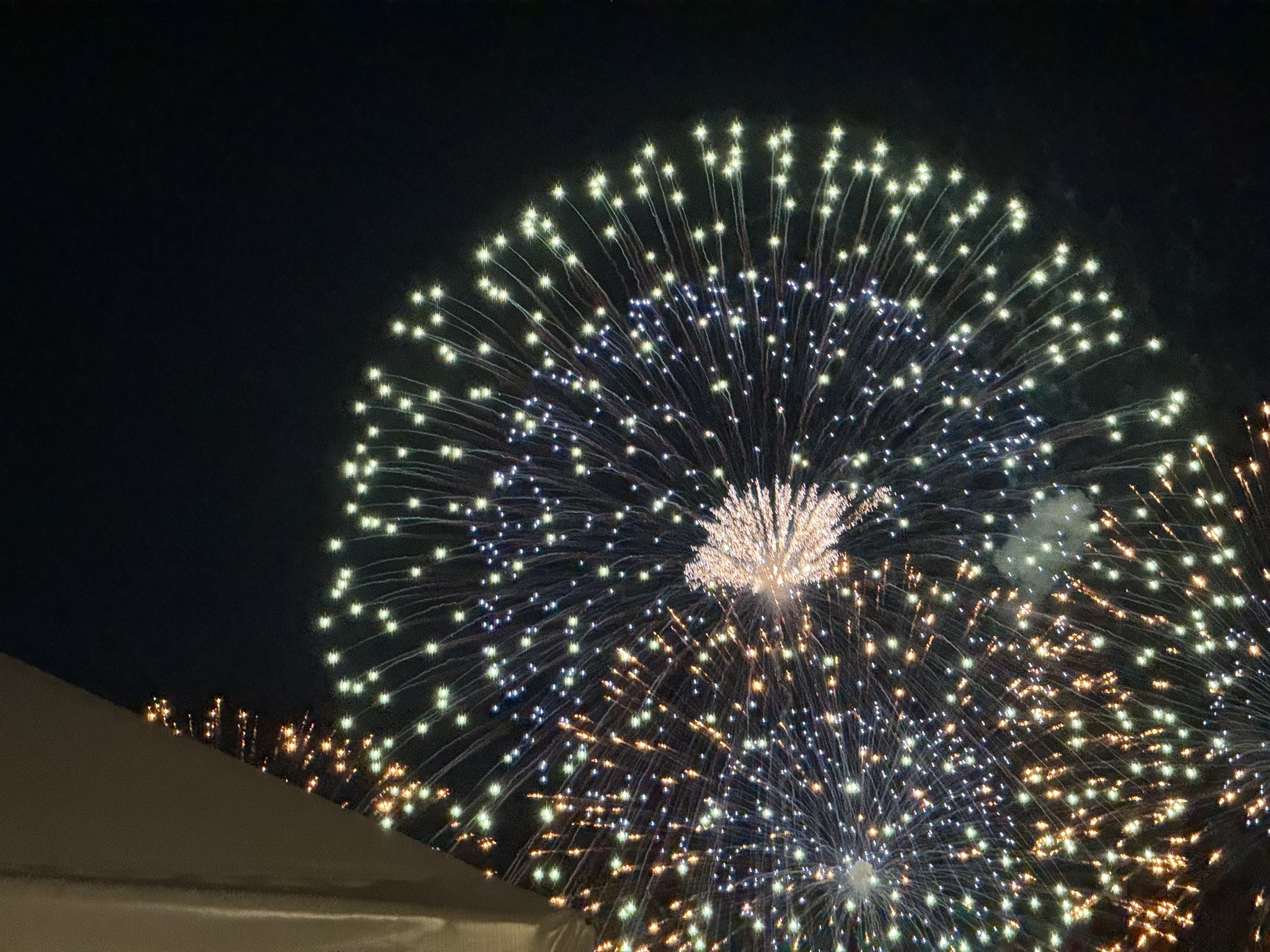 花火  20250802 ポートアイランド北公園からの花火 失敗した！ / SONY