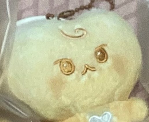 동백¹⁰⁰໒꒱ tweet media