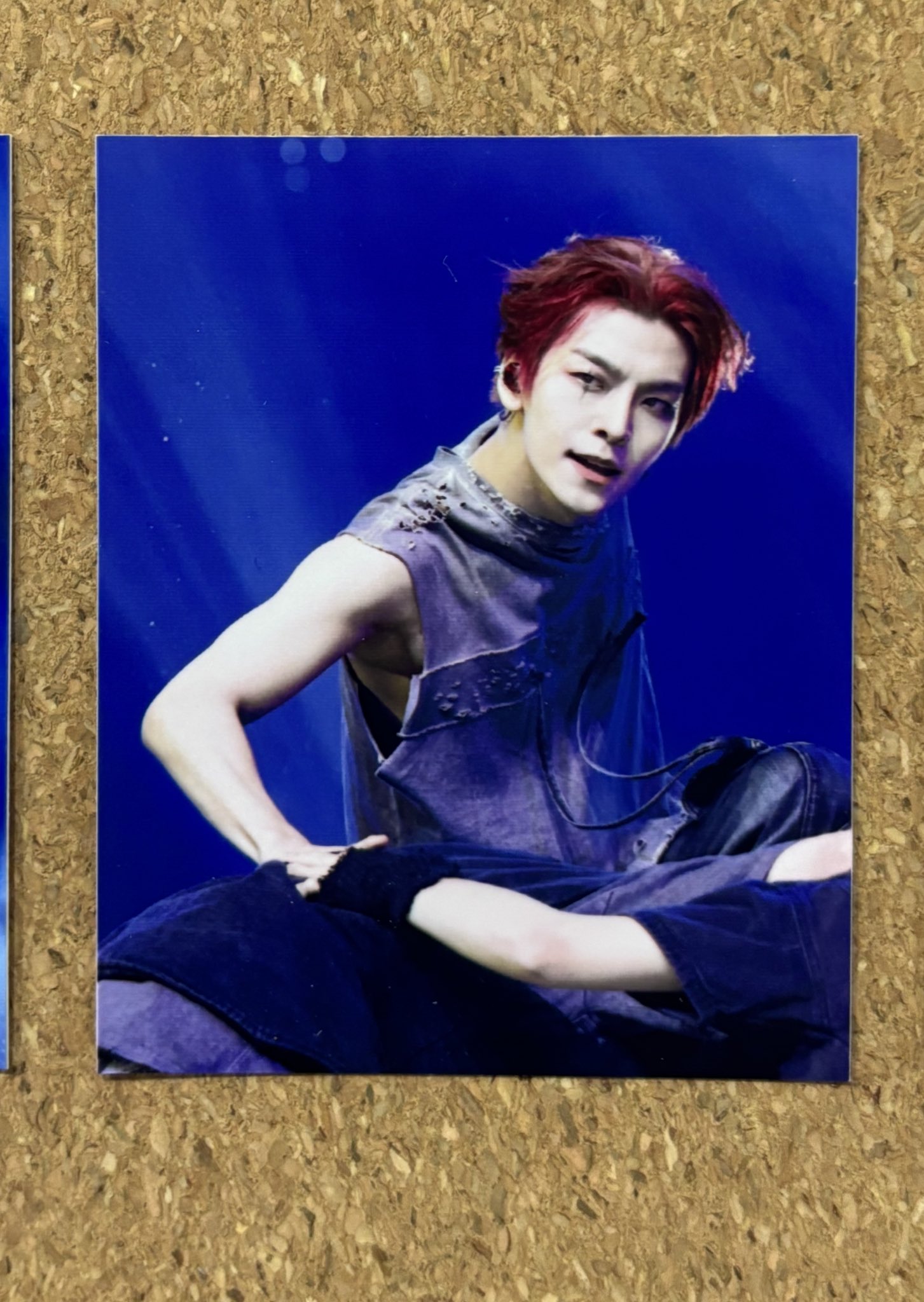 アーカイブ展 - Search / X